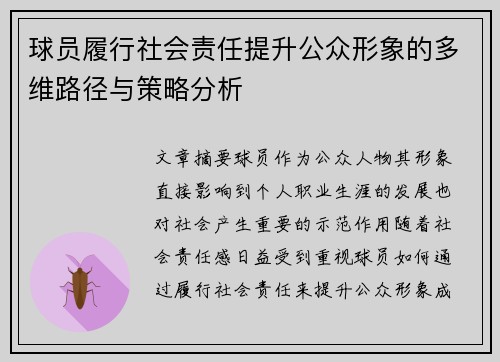 球员履行社会责任提升公众形象的多维路径与策略分析