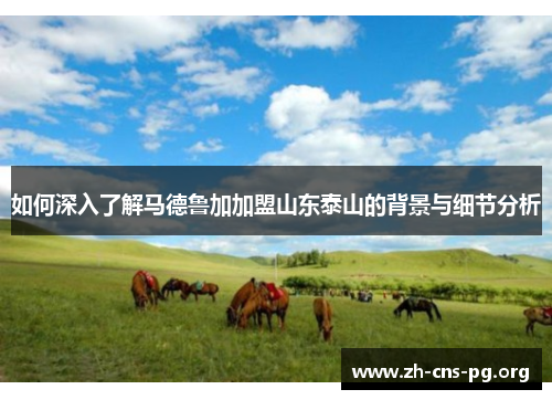 如何深入了解马德鲁加加盟山东泰山的背景与细节分析 如何深入了解马德鲁加加盟山东泰山的背景与细节分析