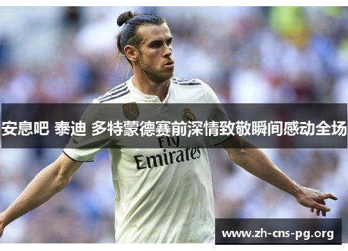 安息吧 泰迪 多特蒙德赛前深情致敬瞬间感动全场 安息吧 泰迪 多特蒙德赛前深情致敬瞬间感动全场