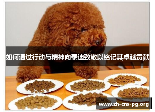 如何通过行动与精神向泰迪致敬以铭记其卓越贡献 如何通过行动与精神向泰迪致敬以铭记其卓越贡献